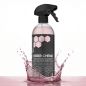 Preview: High Gloss Detailer 750 ml – Sprühflasche