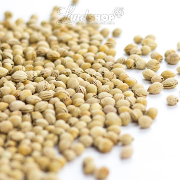 Kirschkerne 5 kg lose