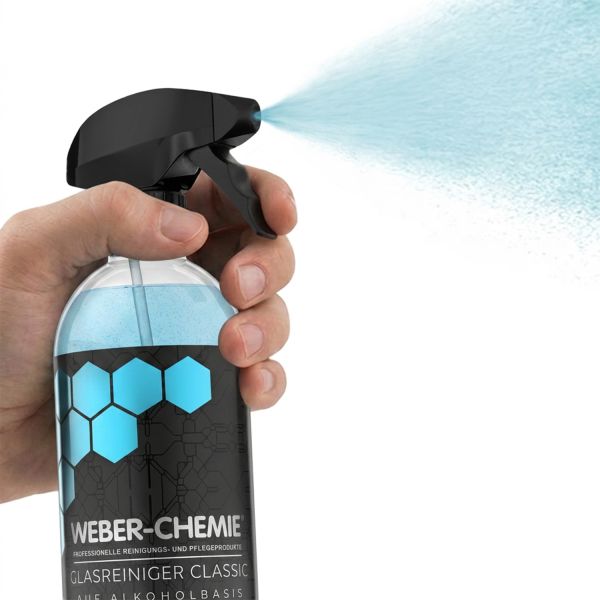 Glasreiniger Classic 750 ml – Sprühflasche